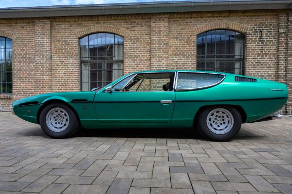 Z8F_2019