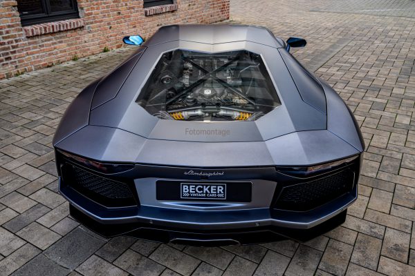 Z8F_8216_fotomontage