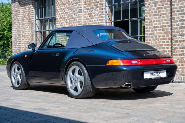 Z8F_2481